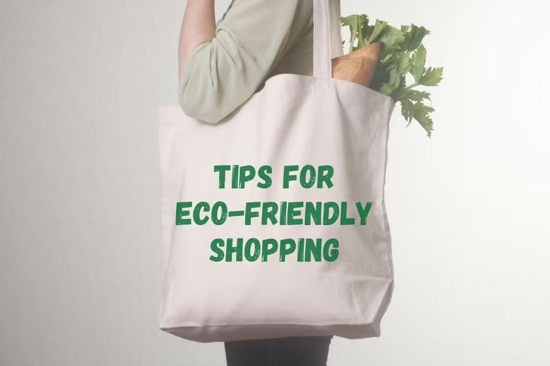 Sustainable Shopping: How to Make Eco-Friendly Choices Online